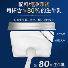 simplelove 简爱 米布丁低温鲜奶135g*8杯鲜牛乳下午茶欧美甜品甜点早餐代餐