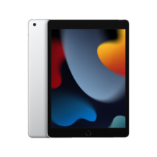 31日20点：Apple iPad 10.2英寸平板电脑 2021款 256GB WLAN版/A13芯片 银色 MK2P3CH/A*企业专享