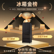 松下（Panasonic）冰箱532升多门变频松下冰箱风冷无霜冰箱大容量顶置压缩机家用冰箱 NR-EE53WGB-K 炫墨黑