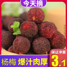 百亿补贴：孕时光 杨梅新鲜现摘荸荠福建泡酒现发水果3.1起斤不是仙居东魁云南