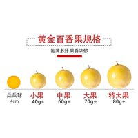 Mr.Seafood 京鲜生 钦蜜9号黄金百香果 2斤单果60-70g中果 生鲜水果 源头直发