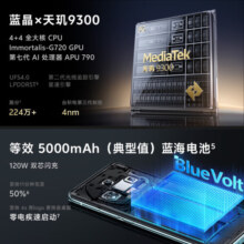 vivo X100 12GB+256GB 辰夜黑 蓝晶×天玑9300 蔡司超级长焦 120W双芯闪充 5G 拍照 手机