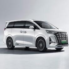 DENZA 腾势 豪华MPV 腾势D9 2024款DM -i 980 四驱尊贵型 旷达米