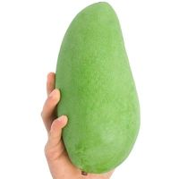 精选 大青芒 大芒果 9.5斤装 特大果 （单果500g+）