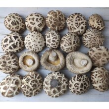 PLUS会员:花菇哥 冬花菇500g（直径4~6cm）