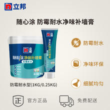 立邦 补墙膏防水防潮防霉墙面修补膏白色墙壁修复白墙腻子膏补墙