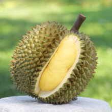 PLUS会员:CPFresh 正大 泰国出品 金枕榴莲3斤-4斤