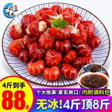 一虾一世界 净重无冰衣小龙虾尾1000g
