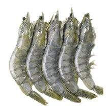 20点、限1200件、聚划算百亿补贴：鲜活速冻海虾厄瓜多尔白虾 3.6斤