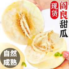 YANXIAOHONG 颜小荭 陕西阎良新鲜甜瓜 脆甜白皮香瓜蜜香瓜新鲜采摘发货 4.5-5斤严选装（约4-6个）