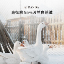 SIDANDA波兰进口95白鹅绒冬被锁温被子保暖100支全棉五星级酒店高端被芯 95波兰绒 冬被 200*230cm