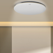 OSRAM 欧司朗 黑金繁星48W米家+遥控+开关