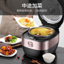苏泊尔（SUPOR） 【轻盐系列】电压力锅家用 电高压锅聚能精钢球釜双胆 鲜呼吸中途加菜压力锅电饭煲 SY-50FC8031Q