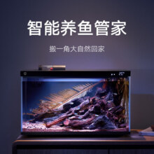 31日20点：MIJIA 米家 智能鱼缸 44.6*24.6*29.5mm（前4小时下单送滤芯）