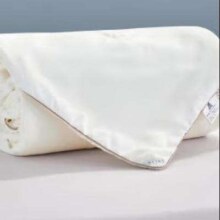 plus会员：BLISS 百丽丝 100%蚕丝抗菌夏凉被 200cm×230cm