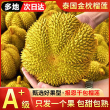 巧鲜惠 金枕榴莲 新鲜果 3.5-4斤 A+级包4房