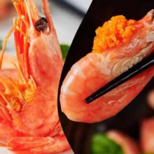 百亿补贴：龙味福北极甜虾 甜虾90-120只/kg 净虾重3斤（无冰衣）