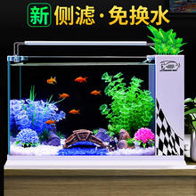 黄芩 40年国货正品牙膏110g*3只