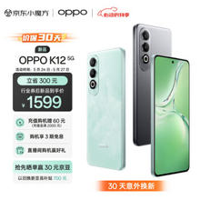 OPPO K12 5G手机 8GB+256GB 青云