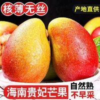 海南三亚贵妃芒果水果新鲜包邮当季5斤装整箱批发贵妃芒