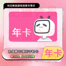 Bilibili 哔哩哔哩 大会员年卡 12个月