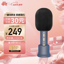 小唱 麦克风C20