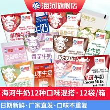 海河乳业 天津海河牛奶12袋