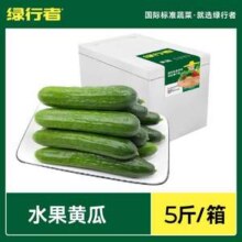 绿行者 荷兰水果黄瓜 5斤