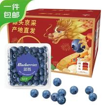 橙央 蓝莓 125g*6 盒 单果12-14mm