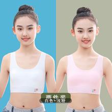 大头豚 品牌无痕少女内衣发育期初中生高中学生女大童青春期女童小背心夏
