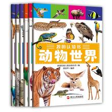 《我的认知书-第二辑》（套装全6册）