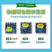 DRISCOLL'S/怡颗莓 Driscoll's怡颗莓4盒装125g/盒云南蓝莓大果精选宝宝应季新鲜水果