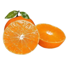 逮果  重庆奉节脐橙 特级大味10斤礼盒装