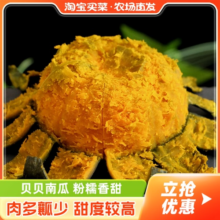 贝贝南瓜粉糯板栗小南瓜新鲜婴儿辅食健身粗餐蔬菜淘客