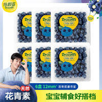 DRISCOLL'S/怡颗莓 怡颗莓云南蓝莓125g6盒小果新鲜采摘鲜果宝宝孕妇辅食水果