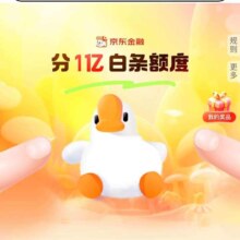 京东金融 分1亿白条额度 万券齐发领19-1/49-2等白条立减劵
