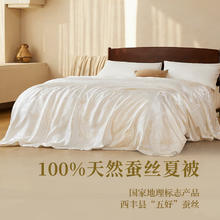20日20点：YANXUAN 网易严选 蚕丝被夏被被芯A类100%天然蚕丝400克220*240cm白色