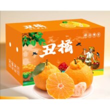 鲜菓篮 四川不知火丑橘  净重4.5斤*2件