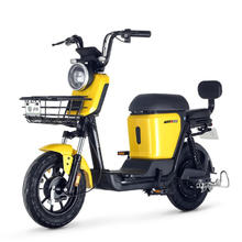 LUYUAN 绿源 ZFA 48V24A锂电 电动自行车