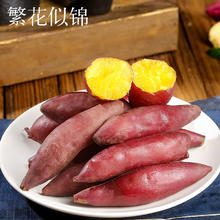 88VIP会员：繁花似锦 天目山小香薯番薯 板栗味2.6斤