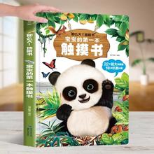 超大地板书 宝宝的第1本触摸书