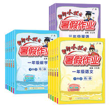 《黄冈小状元暑假作业》（年级、学科任选一本）
