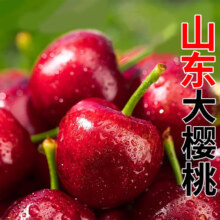 杞农优食【抢鲜预订】山东大樱桃车厘子 5斤（单果23-26mm)净重4斤