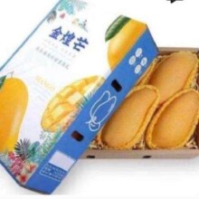 plus:田良季金煌芒果 9斤装 单果3-4两