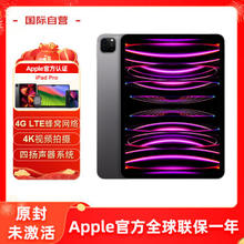 Apple 苹果 iPad Pro 11英寸平板电脑 2020年款 512G 蜂窝版 深空灰 原封未激活苹果官方认证翻新全球联保