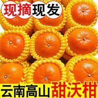 唯亭美 沃柑云 净重5斤单果65mm起