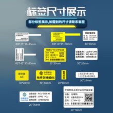 精臣 凡界B1通信线缆智能标签打印机机房网线光纤光缆工程移动电信P刀型尾签手持便携蓝牙不干胶贴纸 B1标签机