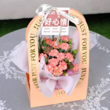 88VIP：母亲节手提花盒 康乃馨盆栽（多色，带盆栽好）