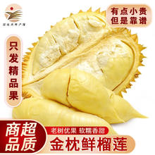 大户庄园 泰国进口金枕榴莲 鲜榴莲 新鲜水果 时令生鲜 带箱 预售带箱9-10斤【2-3个净重8斤+