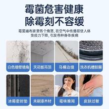 seaways 水卫仕 除霉剂480g 浴室墙面除霉喷雾啫喱瓷砖泡沫清洁清洗剂 除霉清洁剂480g*2瓶